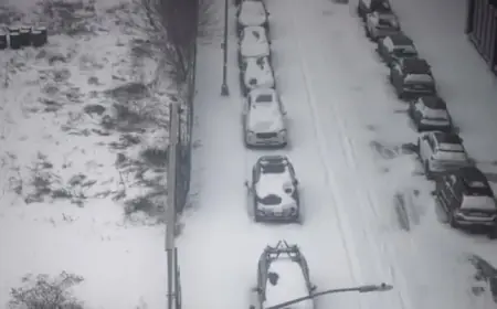 Cold Exposure Suspected in Most N.Y.C. Storm Fatalities