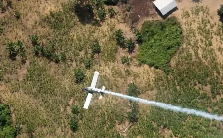 Colombian Lawmaker Among 15 Missing After Plane Vanishes