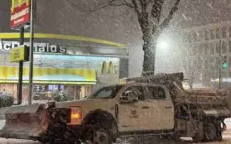 Northeastern Swim and Dive Triumphs Over Stony Brook on Senior Day