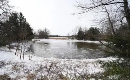 Heartbreaking Tragedy: Texas Mom Fails to Rescue Sons from Icy Pond