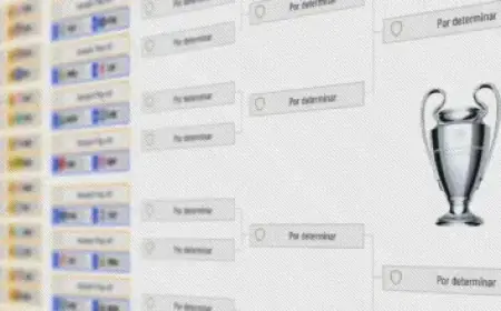 LSU Basketball Team Bus Slides Off Arkansas Roadway