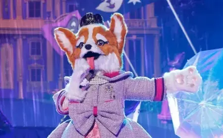Unexpected Influencer May Be Queen Corgi on The Masked Singer
