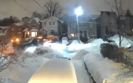 Camera Captures Snowplow Striking Parked Car in Bedford Park