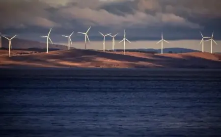 Renewable Energy Surge Drives Down Power Prices Significantly