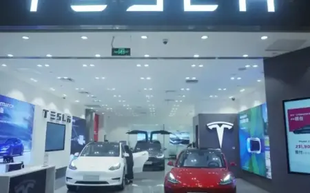 Tesla Faces Second Consecutive Year of Decline