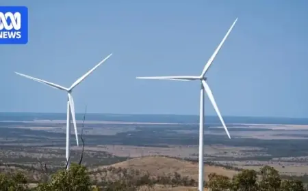 State Government Withdraws Support for Central Queensland Wind Farm