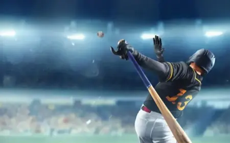 Understanding MLB DFS: Play with Playbook Pro at Fantasy Alarm