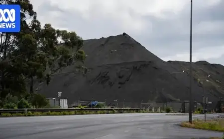 Tasmania Seizes Ore Stockpile After Liberty Bell Bay Loan Default