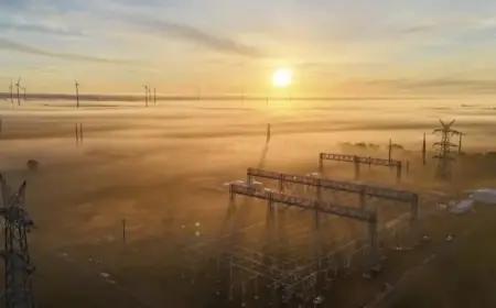 Renewables Dominate Grid, Driving Prices Down as Coal Hits Record Low