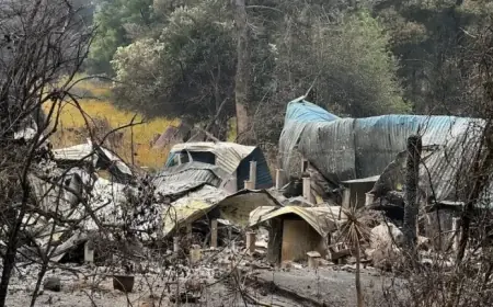 Bushfires Ravage Victorian Farmland