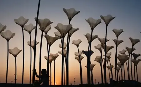 2026 Subject-Specific World University Rankings Released