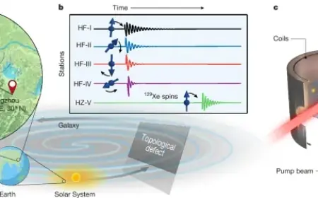 Quantum Sensors Across Cities Constrain Axion Dark Matter