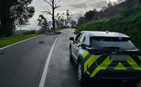 Severe Weather Closes Several Portalegre District Roads