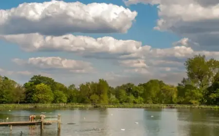 Hampstead Heath Bathing Ponds Consultation Results Released