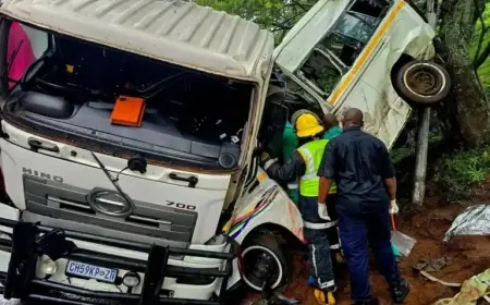 Minibus Crash in South Africa Kills 11, Including Schoolchild