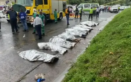 Taxi Driver Rescued After Three-Hour Ordeal; 11 Confirmed Fatalities