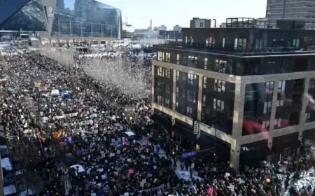 Celebrities Back Jan. 30 General Strike Against ICE