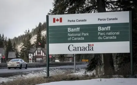 Tunnel Mountain Closure in Banff: Carnivores Prompt Safety Measures