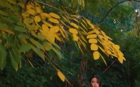 Stars Shine Bright in ‘The Pitt’ Expansion