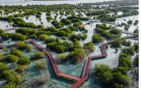 Calgary Secures Direct Flight to Major Middle Eastern City