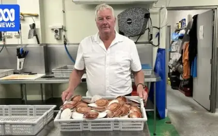 Queensland Trawling Ban Forces Fishermen to Discard Scallop Catch