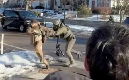 Icon for Download: Down Arrow Button