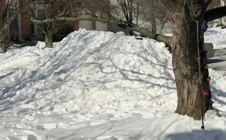 Friday, Jan. 30th: Predicted School Closures and Delays