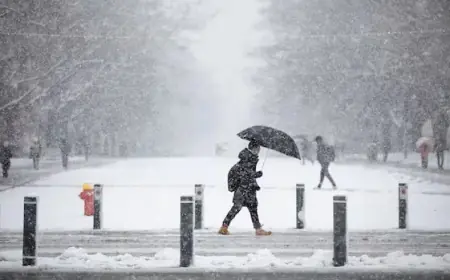 HRCE: Halifax Schools’ 3 Storm Days Within Normal Range