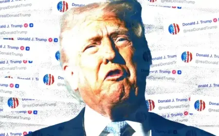 Trump, 79, Launches Furious Conspiracy Posting Spree