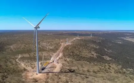 Queensland Utility Cancels New Wind Project, Signs PPA with Established Farm