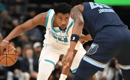 Hornets vs Mavericks: Expert Predictions, Top Picks & Betting Odds