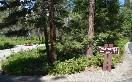 BC Parks Raises Camping Fees and Adds Non-Resident Surcharge