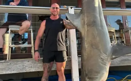 Fishermen Catch 150kg Bull Shark in Sydney Harbour Amid Population Debate