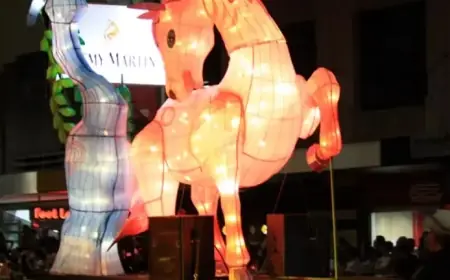 Discover Australia’s 2026 Lunar New Year Celebrations