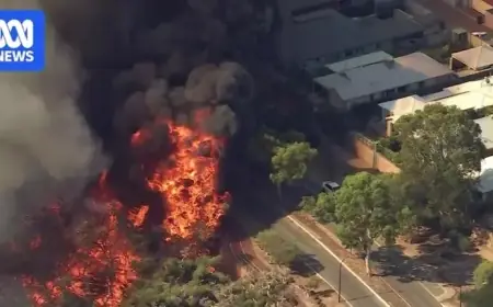 Fast-Moving Bushfire Engulfs Perth Suburban Backyards in Chaotic Scene
