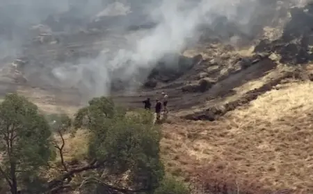 Emergency Warnings Issued as Bushfires Ignite in Perth, Australia