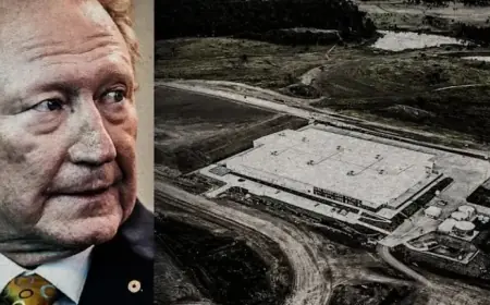 Andrew Forrest’s Green Ambitions Cost Taxpayers $80M in ‘Dud Project’