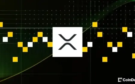 XRP Plummets 5% as BTC Weakness Ripple Effect Unfolds