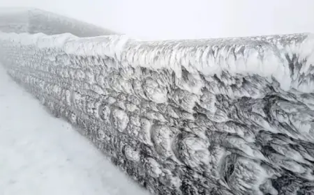 17 Brave Explorers Tackle Wind-Chiselled Ice in Subzero Frozen World Daily