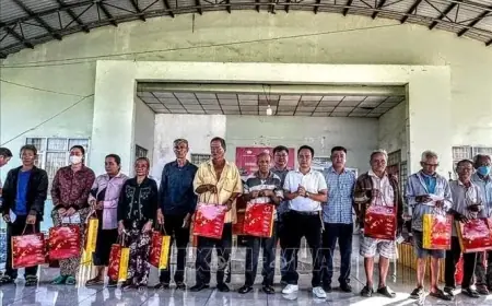 Warm Tet Ushers in a Spring Full of Human Kindness