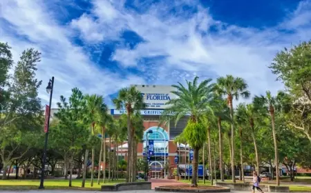 Florida Proposes 1-Year H-1B Hiring Freeze at Public Universities