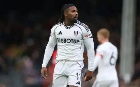 West Ham Signs Adama Traoré in Key Transfer from Fulham