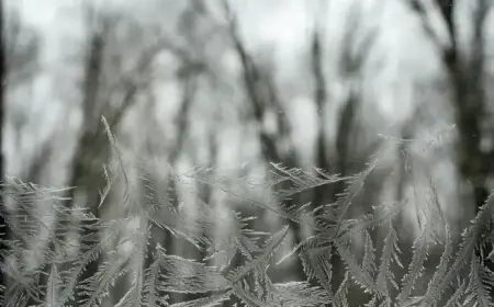 Akron Public Schools: Status Update for Thursday, January 29