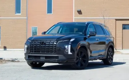 44,000 Older Hyundai Palisades Require Side Curtain Airbag Repair