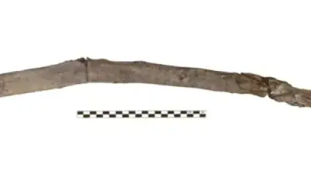 Microsoft Plans Linux-Style Top Menu Bar for Windows 11 via PowerToys