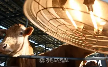 Cold Snap Continues Until Weekend; Fire Risk Increases with Dry, Windy Conditions