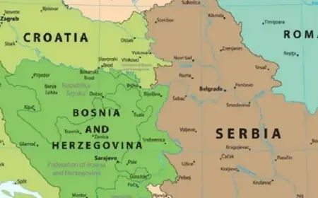Serbia Explores Croatian Natural Gas Route; Decision Pending, Says Đedović Handanović