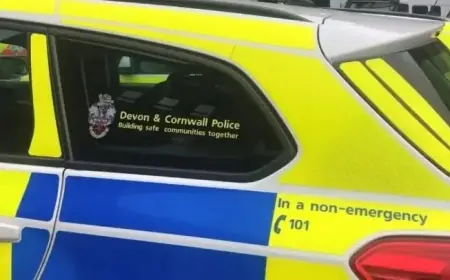 Single-Car Crash Claims Life of Ashburton Driver in His 30s