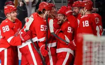 Did Detroit News Photographer Help Red Wings Score Game-Tying Goal?