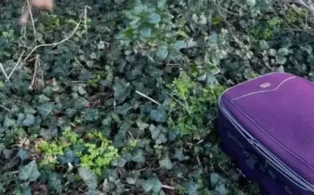 Dog Abandoned with Slashed Throat at Scenic South West Location